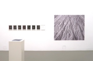 „Terra Salis“ als Teil der Examensausstellung der Kunsthochschule Kassel, documenta-Halle, 13.12.2024